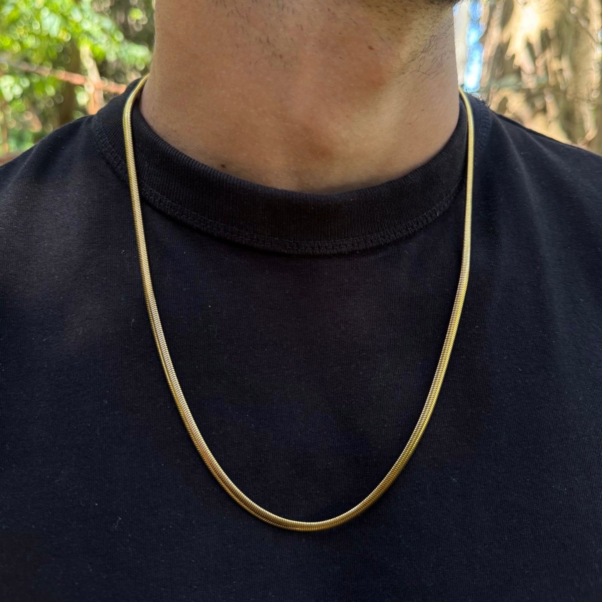 Snake Chain Necklace